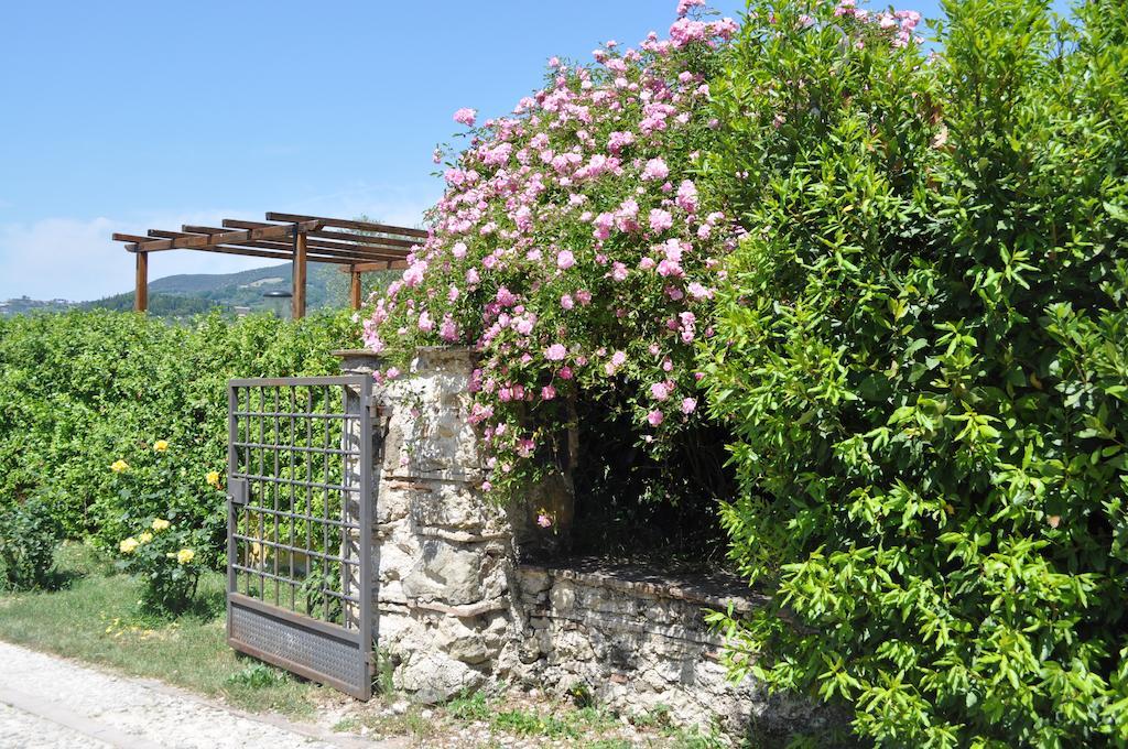 Il Gelso Nero Vila Castelnuovo di Farfa Exterior foto